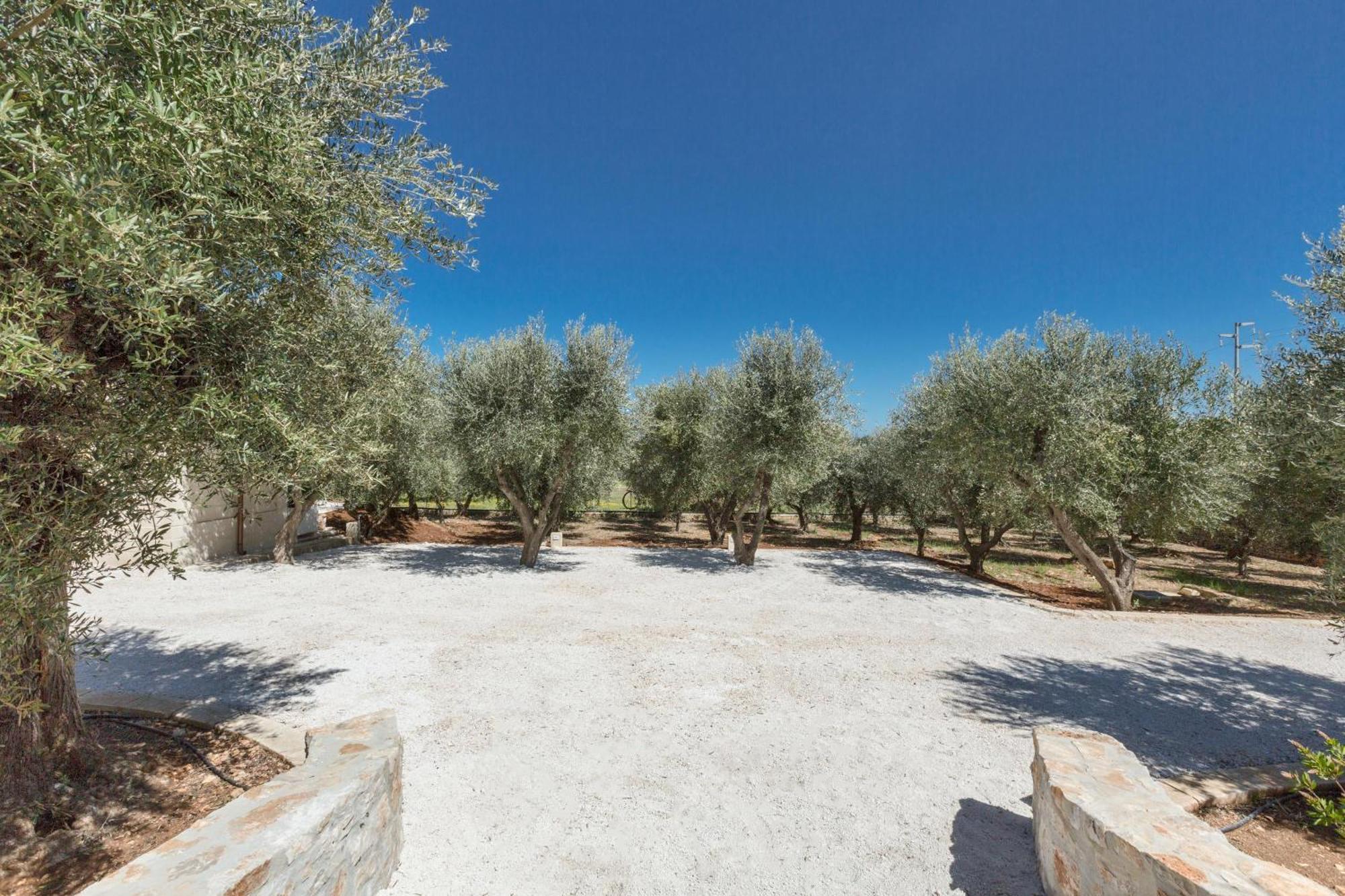 塞尔瓦·迪·法萨诺Trulli Ulivo Di Puglia By Barbarhouse别墅 外观 照片